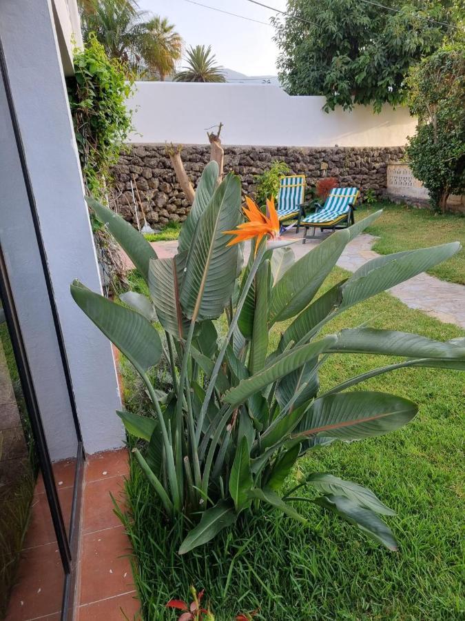 La Casa De Lucy & Karin Villa La Orotava Eksteriør bilde
